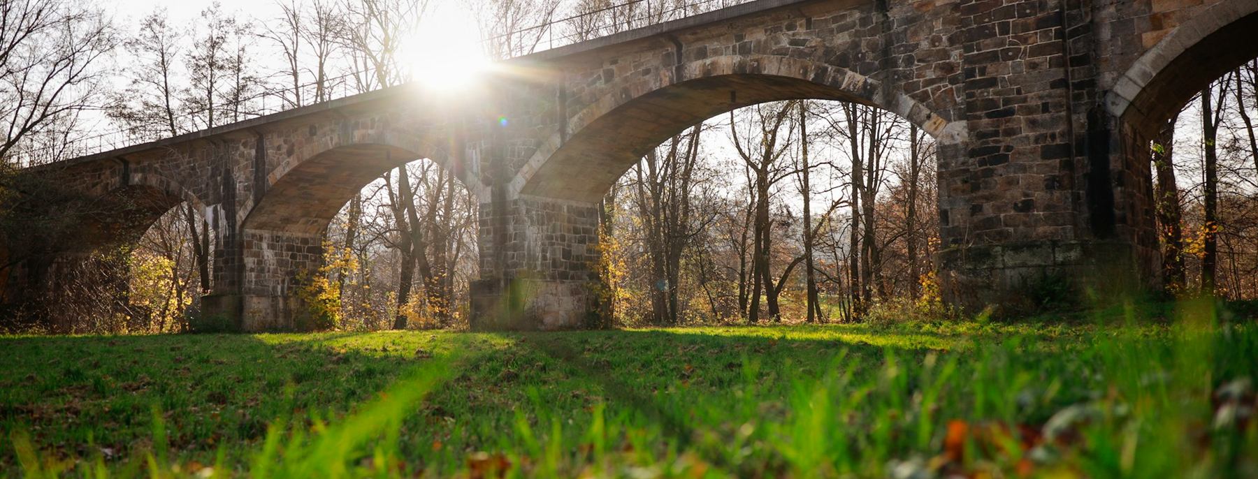 Arcos de uma ponte de pedra em floresta, com o sol atravessando os vãos.