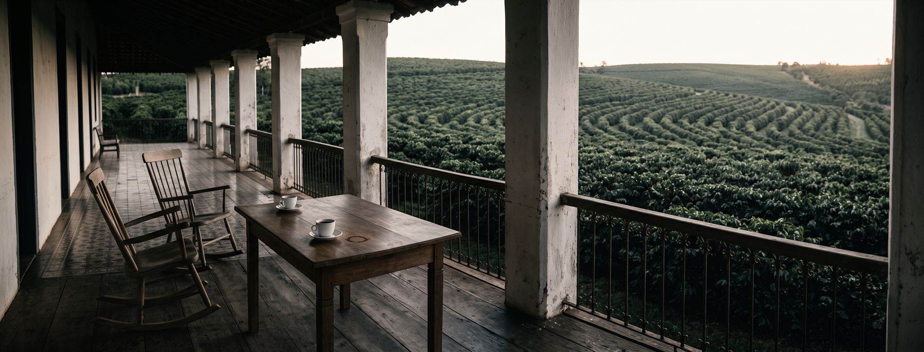 Varanda de um casarão de fazenda de café ao entardecer: cadeiras de balanço e uma mesa com duas xícaras usadas, e além da guarda o cafezal em curvas de nível até o horizonte.